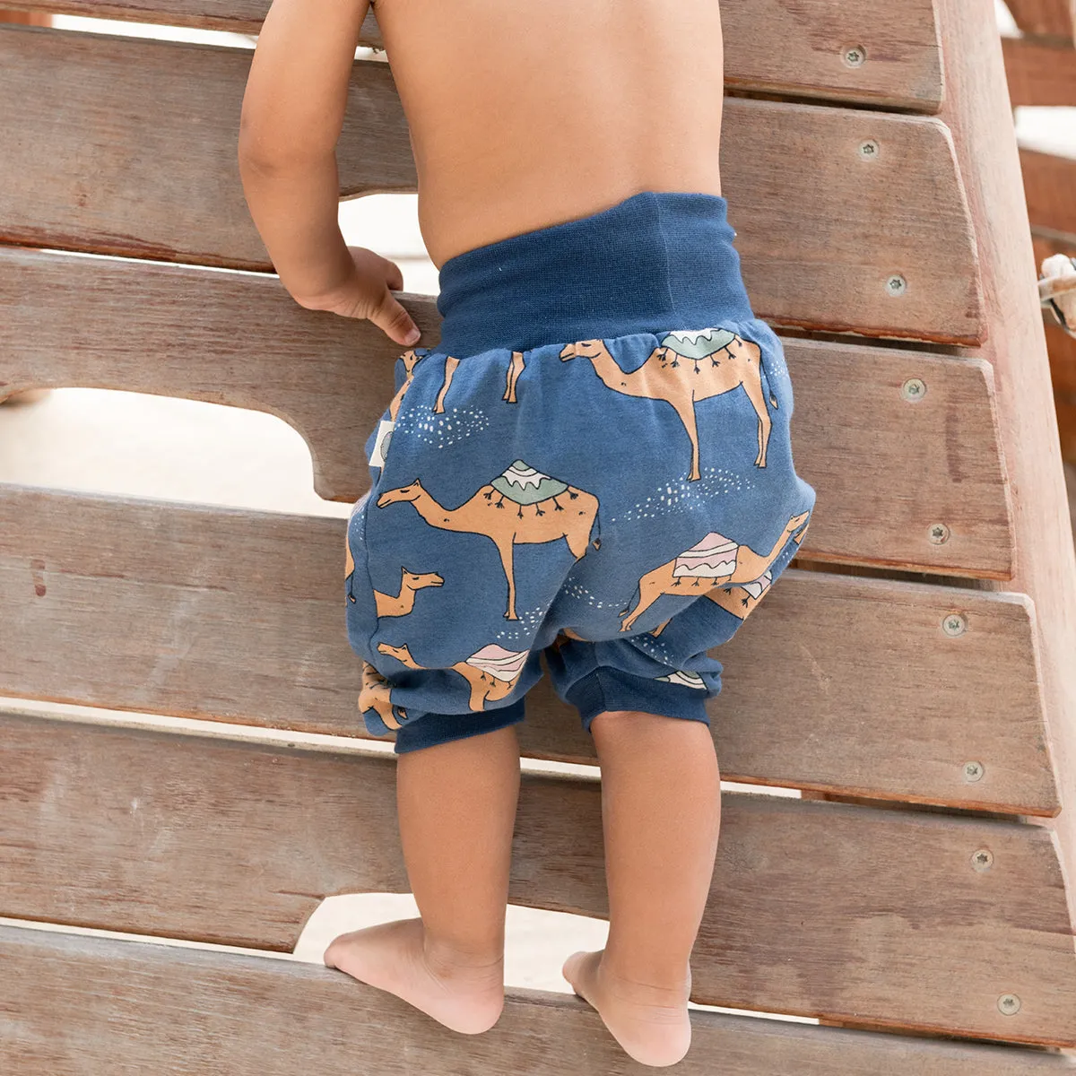 Camel Navy