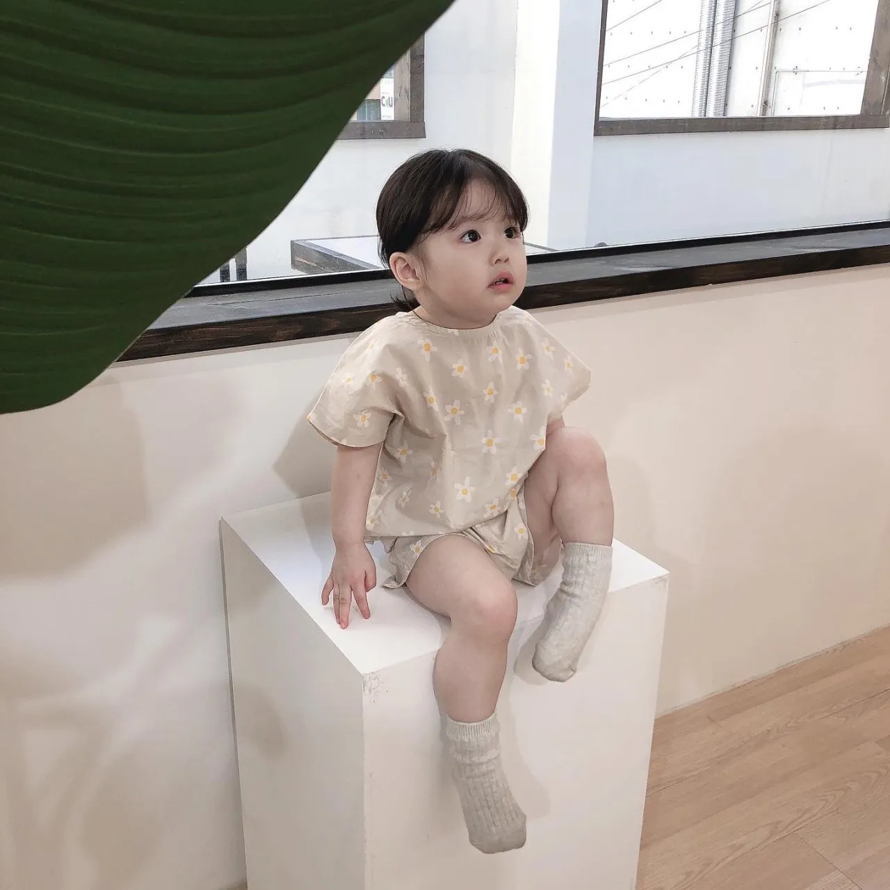 Daisy Cotton Short Sleeve Top and Shorts (Set)
