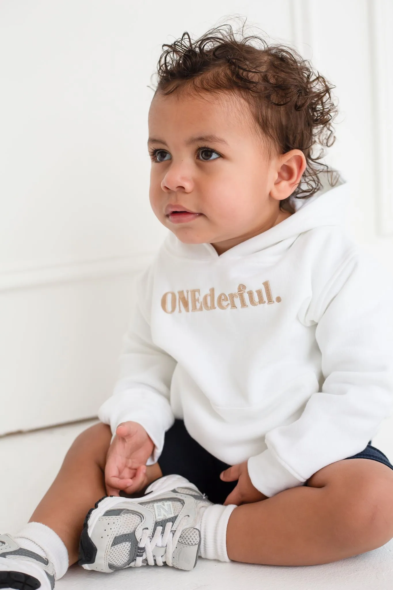 ONEderful Birthday Hoodie - Embroidery