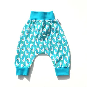 Seagulls blue